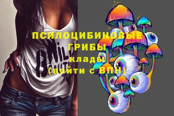 гашик Майский