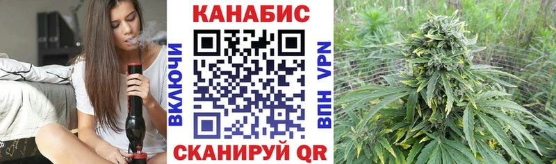 Бошки Шишки семена Инта